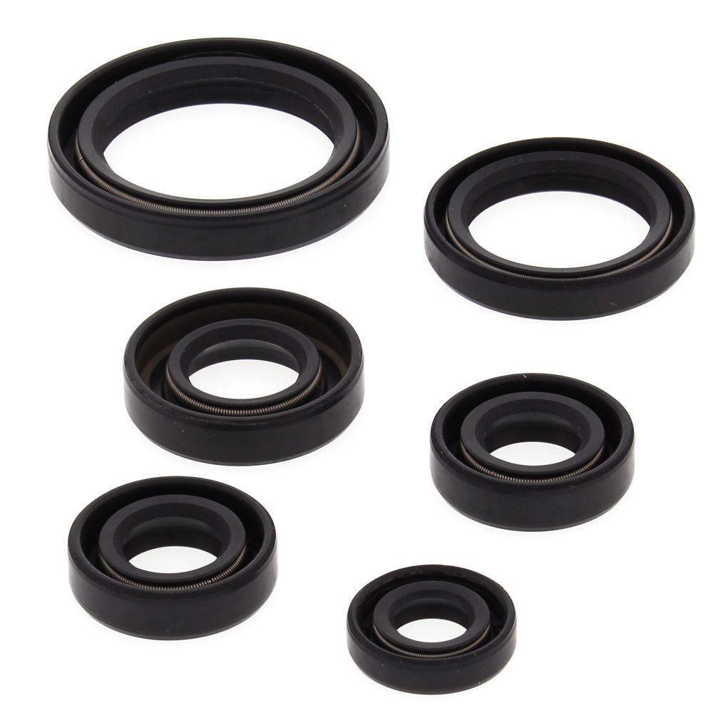 OIL SEAL KIT 822241